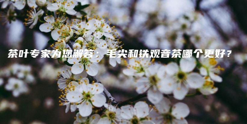 茶葉專家為您解答：毛尖和鐵觀音茶哪個更好？插圖