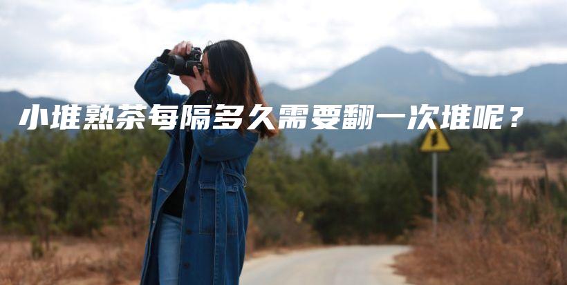 小堆熟茶每隔多久需要翻一次堆呢？插圖