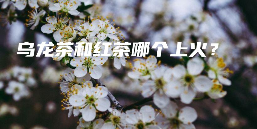 烏龍茶和紅茶哪個上火？插圖