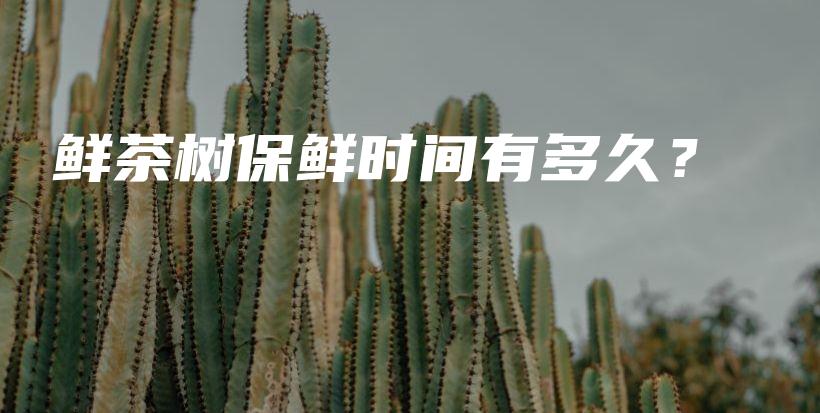 鮮茶樹保鮮時(shí)間有多久？插圖