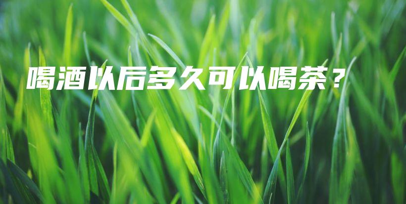 喝酒以后多久可以喝茶？插圖