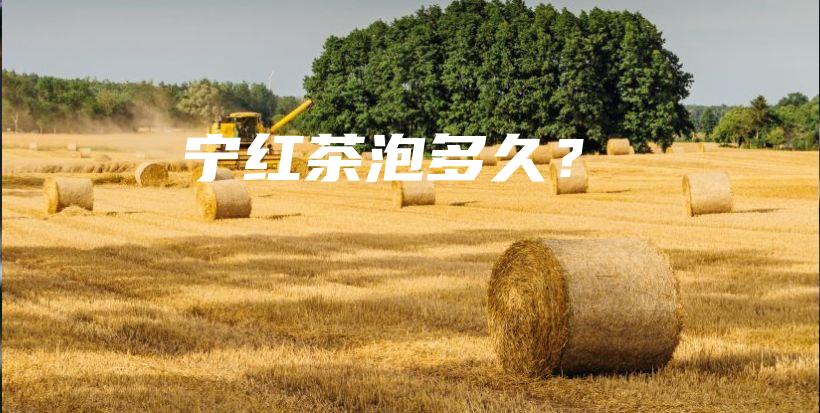 寧紅茶泡多久？插圖