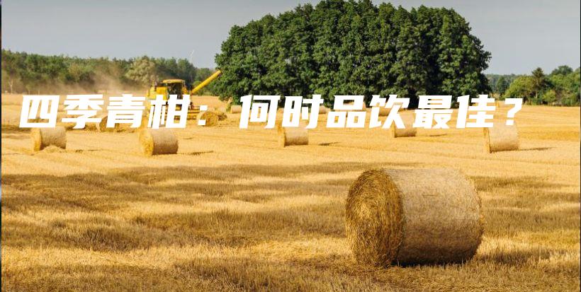 四季青柑：何時品飲最佳？插圖