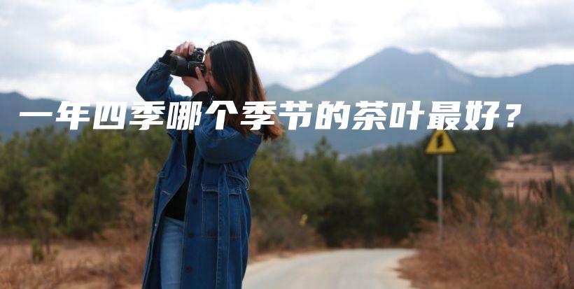 一年四季哪個(gè)季節(jié)的茶葉最好？插圖