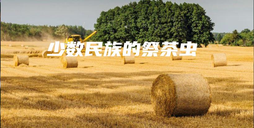 少數(shù)民族的祭茶蟲插圖