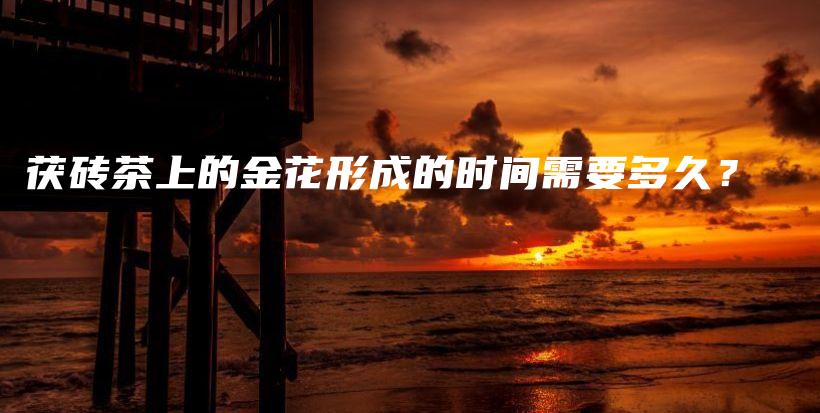 茯磚茶上的金花形成的時間需要多久？插圖