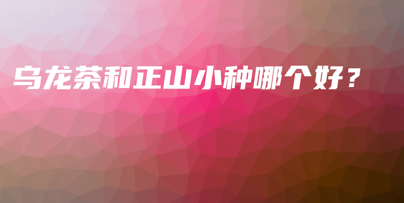 烏龍茶和正山小種哪個(gè)好？插圖