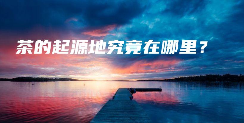 茶的起源地究竟在哪里？插圖