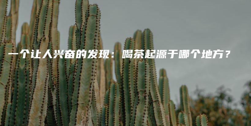 一個讓人興奮的發(fā)現(xiàn)：喝茶起源于哪個地方？插圖