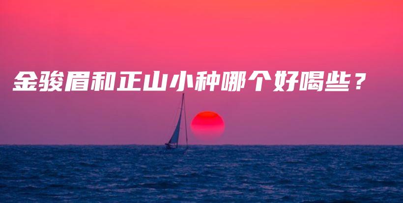 金駿眉和正山小種哪個(gè)好喝些？插圖