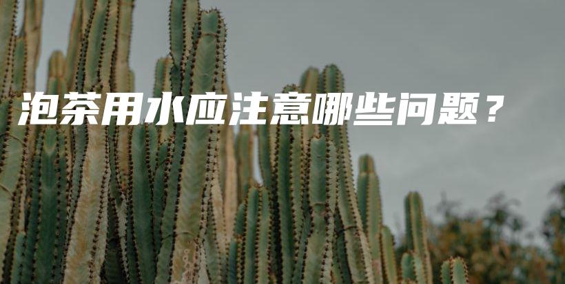 泡茶用水應(yīng)注意哪些問(wèn)題？插圖