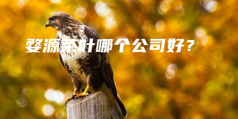婺源茶葉哪個公司好？插圖