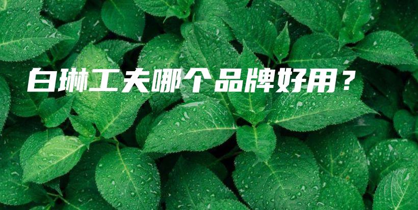 白琳工夫哪個品牌好用？插圖