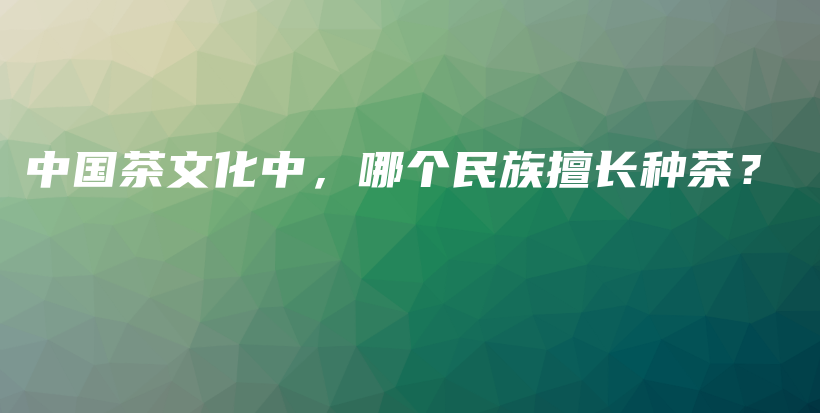 中國茶文化中，哪個(gè)民族擅長種茶？插圖