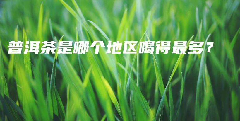 普洱茶是哪個地區(qū)喝得最多？插圖