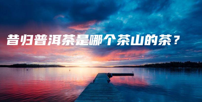 昔歸普洱茶是哪個茶山的茶？插圖