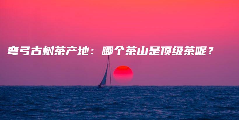 彎弓古樹茶產(chǎn)地：哪個茶山是頂級茶呢？插圖