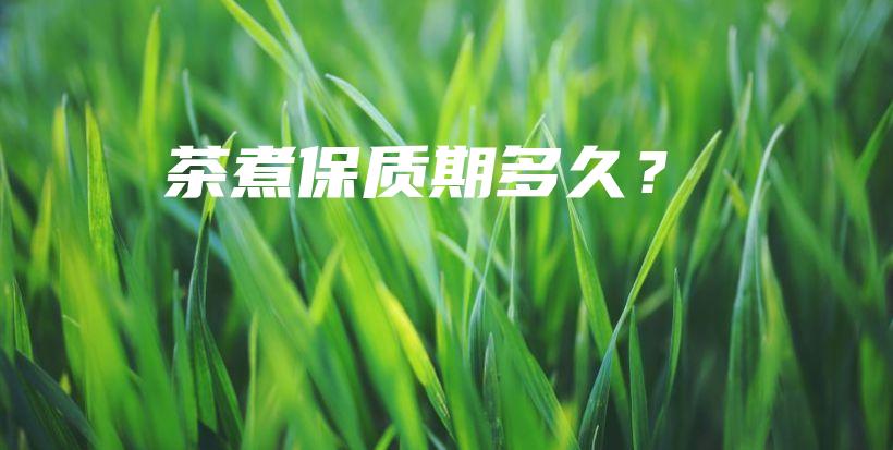 茶煮保質(zhì)期多久？插圖