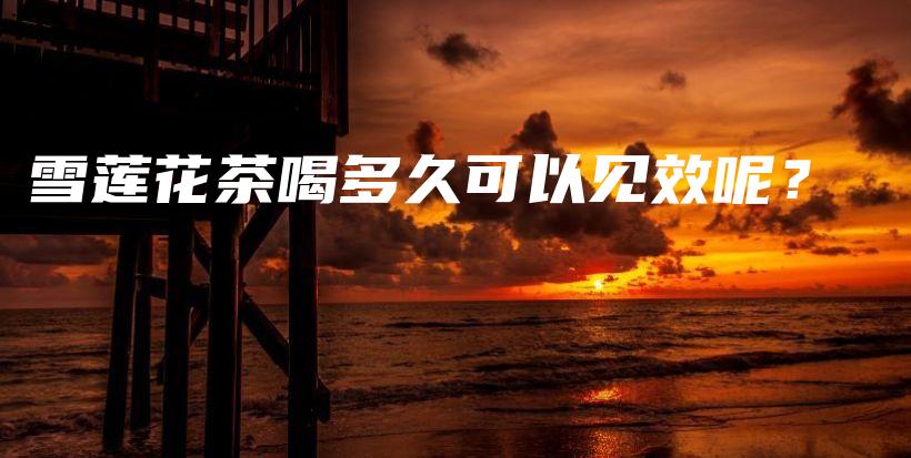 雪蓮花茶喝多久可以見效呢？插圖