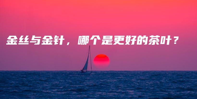 金絲與金針，哪個是更好的茶葉？插圖