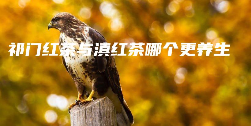 祁門紅茶與滇紅茶哪個(gè)更養(yǎng)生插圖