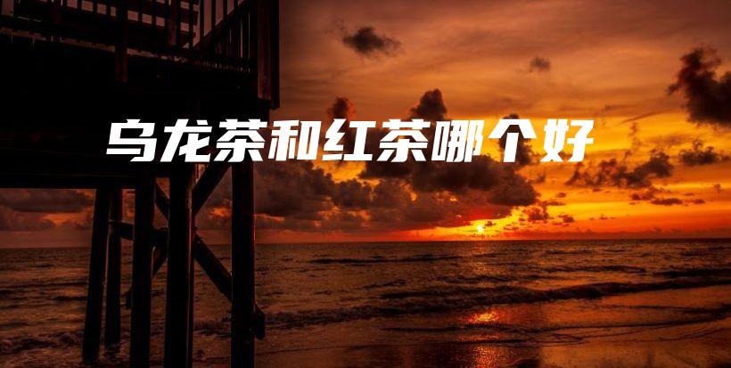 烏龍茶和紅茶哪個(gè)好插圖