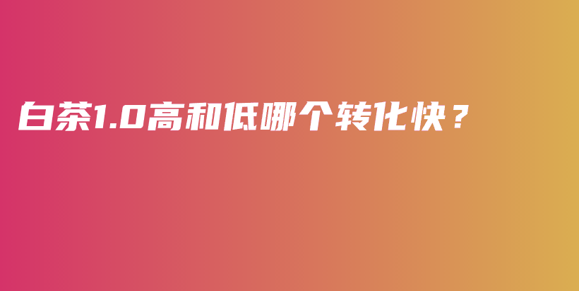 白茶1.0高和低哪個轉(zhuǎn)化快？插圖