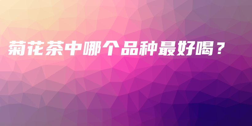 菊花茶中哪個品種最好喝？插圖