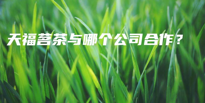 天福茗茶與哪個公司合作？插圖