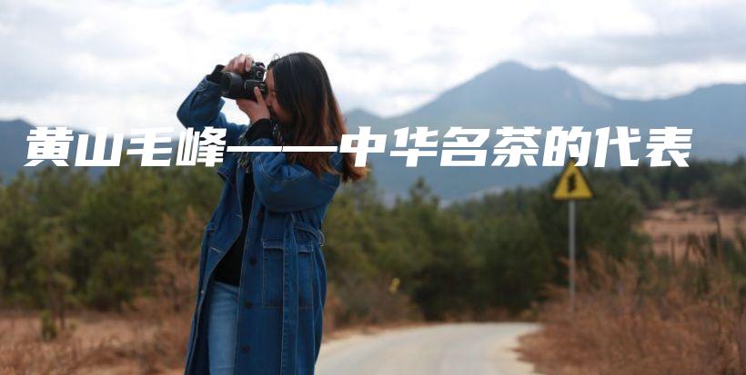 黃山毛峰——中華名茶的代表插圖
