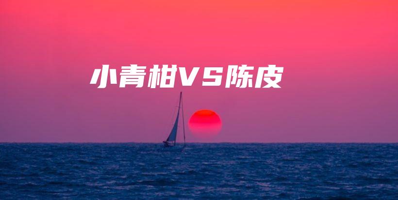小青柑VS陳皮插圖