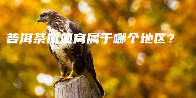 普洱茶鳳凰窩屬于哪個(gè)地區(qū)？插圖