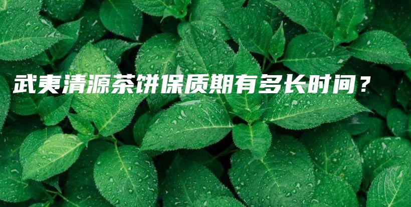 武夷清源茶餅保質期有多長時間？插圖