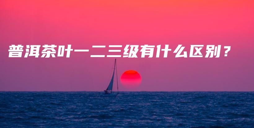普洱茶葉一二三級(jí)有什么區(qū)別？插圖