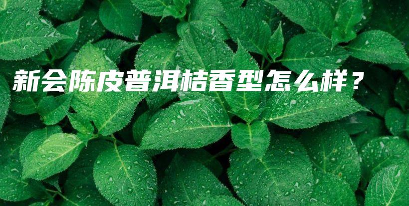 新會陳皮普洱桔香型怎么樣？插圖