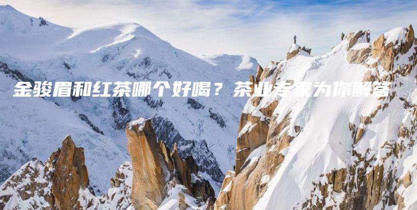 金駿眉和紅茶哪個(gè)好喝？茶業(yè)專家為你解答插圖