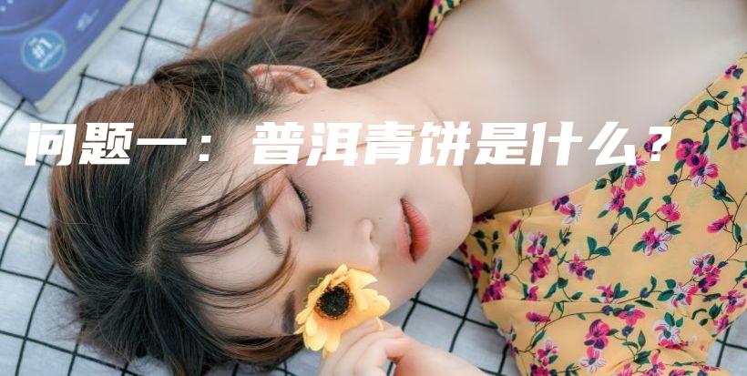 問題一：普洱青餅是什么？插圖