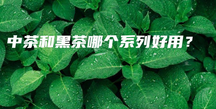 中茶和黑茶哪個系列好用？插圖