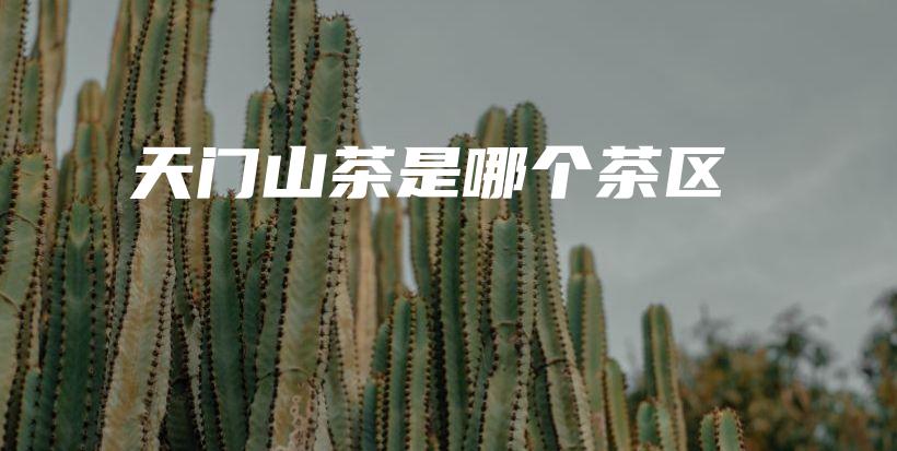 天門山茶是哪個(gè)茶區(qū)插圖