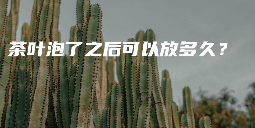 茶葉泡了之后可以放多久？插圖