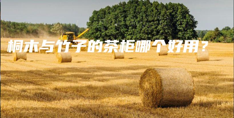 桐木與竹子的茶柜哪個(gè)好用？插圖