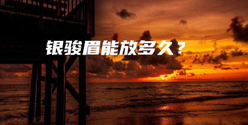 銀駿眉能放多久？插圖