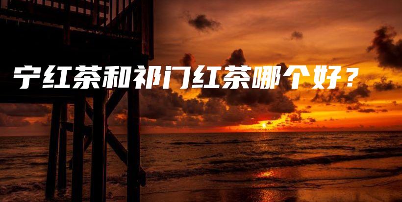 寧紅茶和祁門紅茶哪個(gè)好？插圖