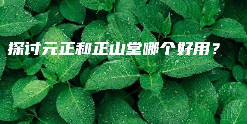 探討元正和正山堂哪個(gè)好用？插圖