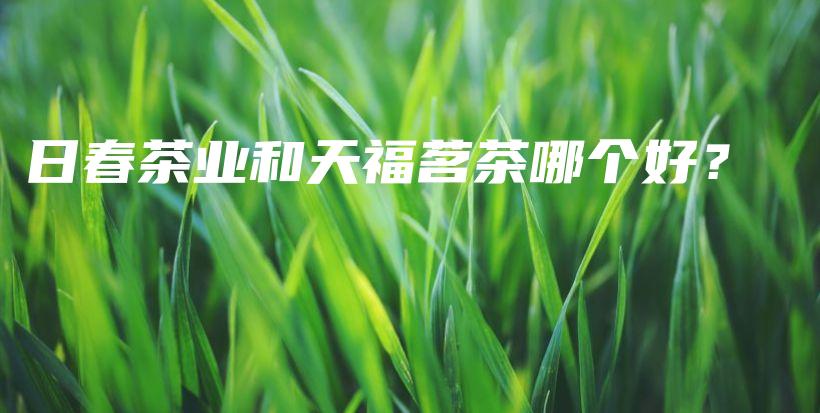 日春茶業(yè)和天福茗茶哪個好？插圖