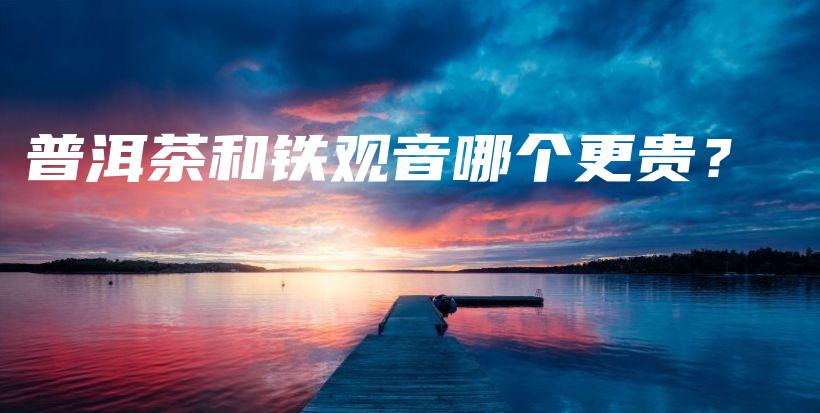 普洱茶和鐵觀音哪個(gè)更貴？插圖