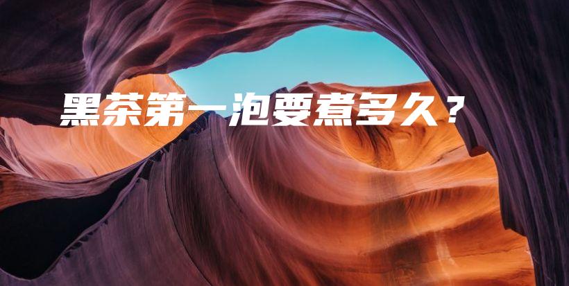 黑茶第一泡要煮多久？插圖