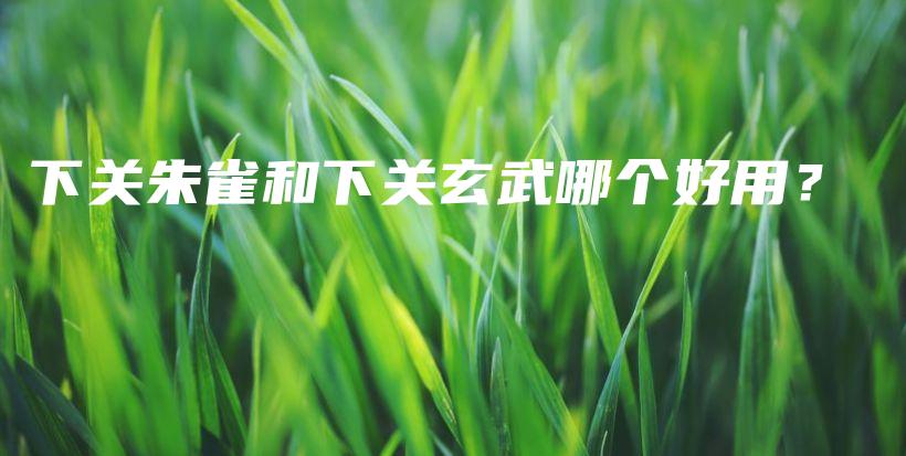 下關(guān)朱雀和下關(guān)玄武哪個好用？插圖