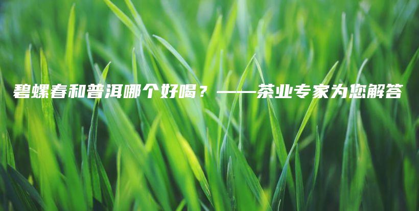 碧螺春和普洱哪個好喝？——茶業(yè)專家為您解答插圖