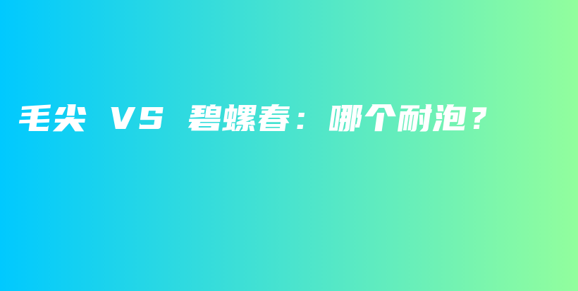 毛尖 VS 碧螺春：哪個耐泡？插圖